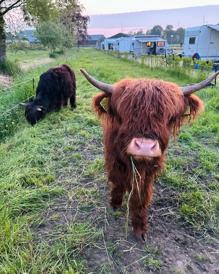 Instagram post from bijboerjos. This post is in position 9.
